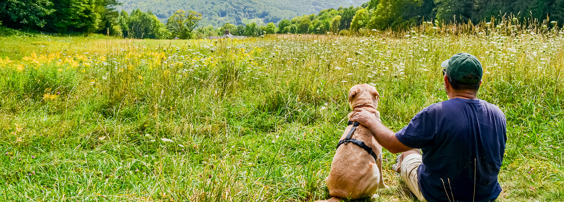 Le camping Pors Peron en Bretagne vous accueille avec votre animal de compagnie durant votre séjour