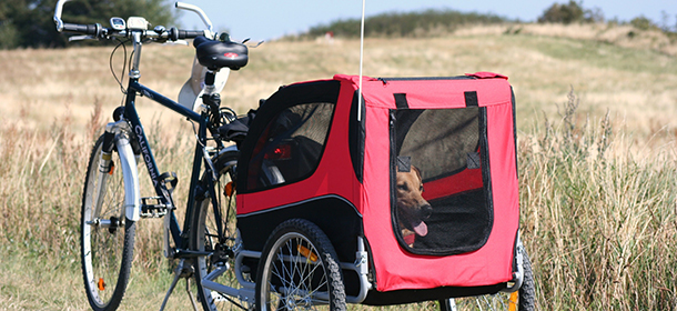 Le camping Pors Peron en Bretagne met à disposition une remorque à la location afin de les prendre avec vous durant vos balades à vélo