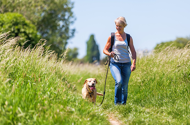 Partez en promenade avec votre chien, lors de votre séjour camping Pors Peron dans le Finistère sud en Bretagne