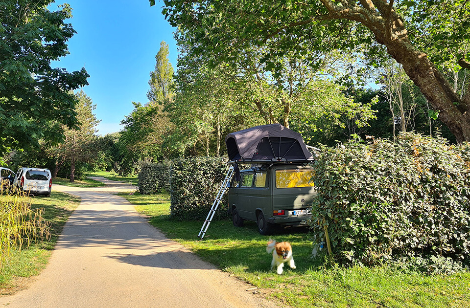 Le camping en Bretagne « accueil chien » Pors Peron, propose des emplacements spacieux, délimités par des haies pour préserver votre intimité