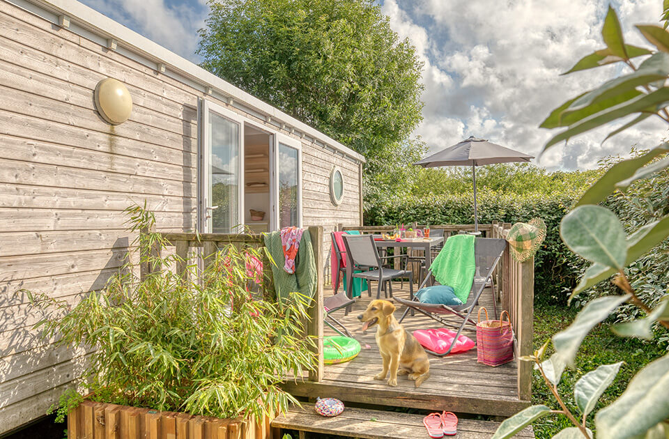 Le camping en Bretagne « accueil chien » Pors Peron, propose des locations “Pet-Friendly”