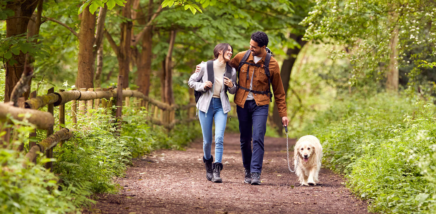 Camping Pors Peron, vacances dog-friendly à deux pas du GR34, en Finistère Sud